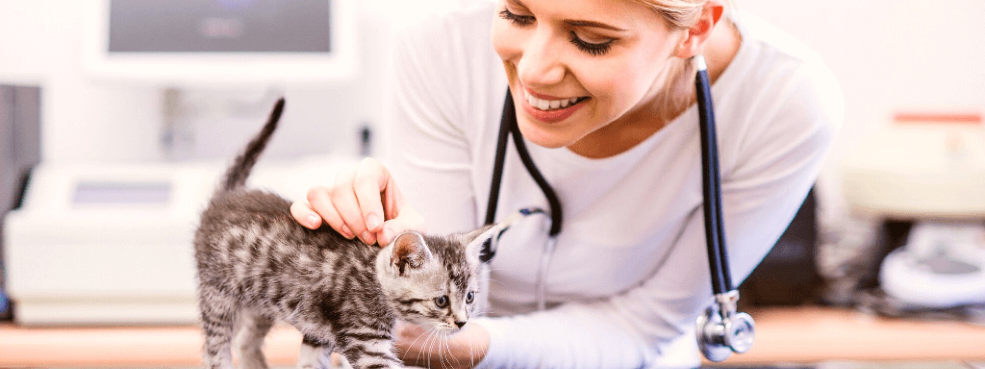 Veterinarian with stethoscope