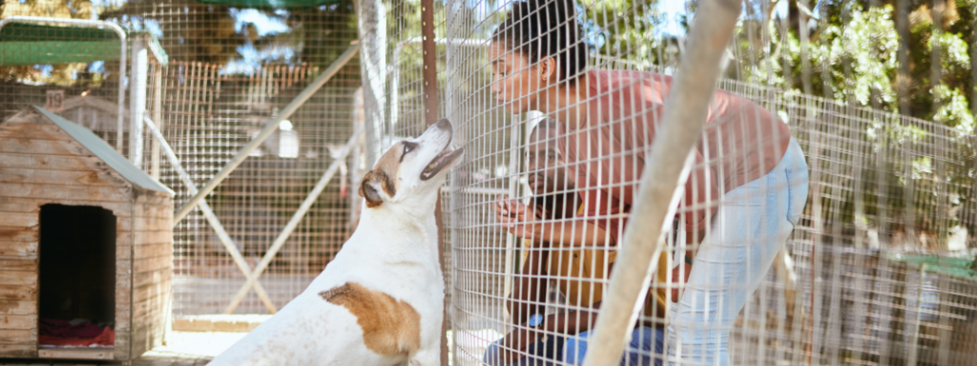 Man and woman bonding with a dog, enjoying time and having fun with excited pet at vet, kennel